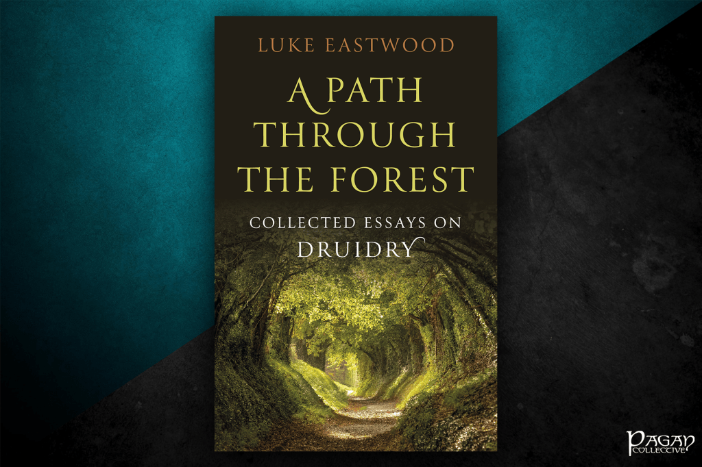 Review: A Path Through the Forest by Luke&nbsp;Eastwood