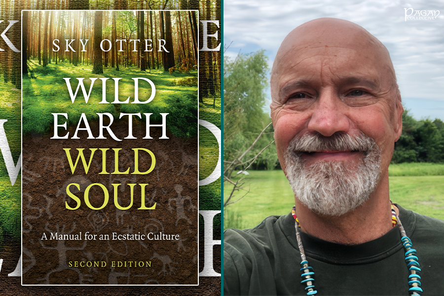 Wild Earth, Wild Soul (2nd Edition) by Sky Otter (Bill&nbsp;Pfeiffer)