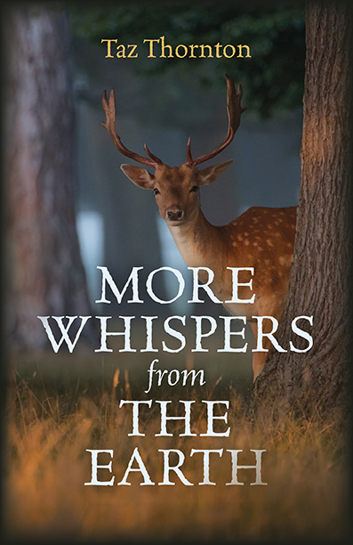 Review: More Whispers from the Earth by Taz&nbsp;Thornton