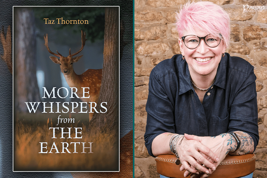 Can You Hear the Whispers from the&nbsp;Earth?