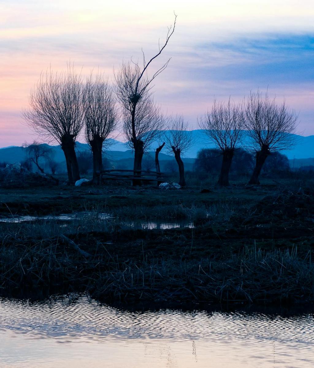Dirt Borne, Sky Bound: Becoming a Bog Witch by Mab&nbsp;Jones