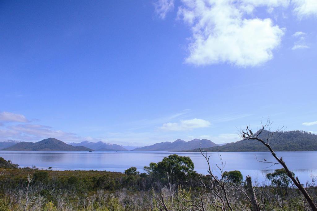 Backyard Report on the Approach to the Solstice from the Southern Hemisphere by Jane&nbsp;Meredith