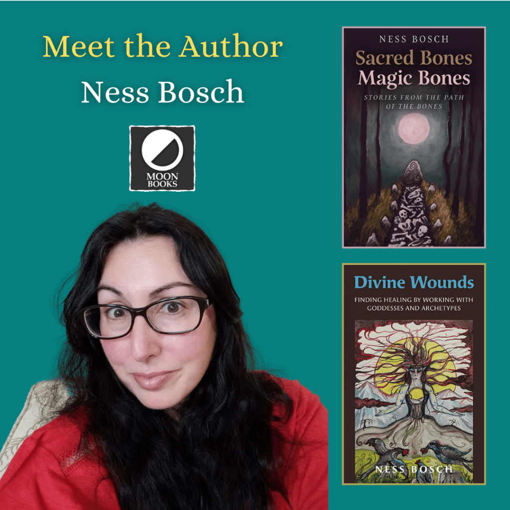 Author Deep Dive: Ness&nbsp;Bosch