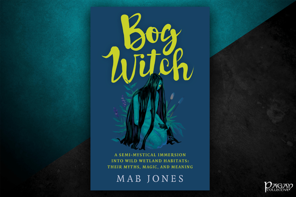 Review: Bog Witch by Mab&nbsp;Jones