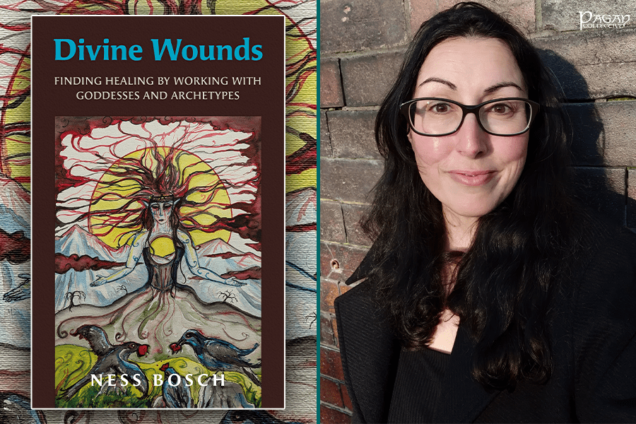 Divine Wounds by Ness&nbsp;Bosch