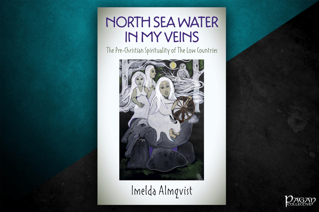 Review: North Sea Water in my Veins by Imelda&nbsp;Almqvist
