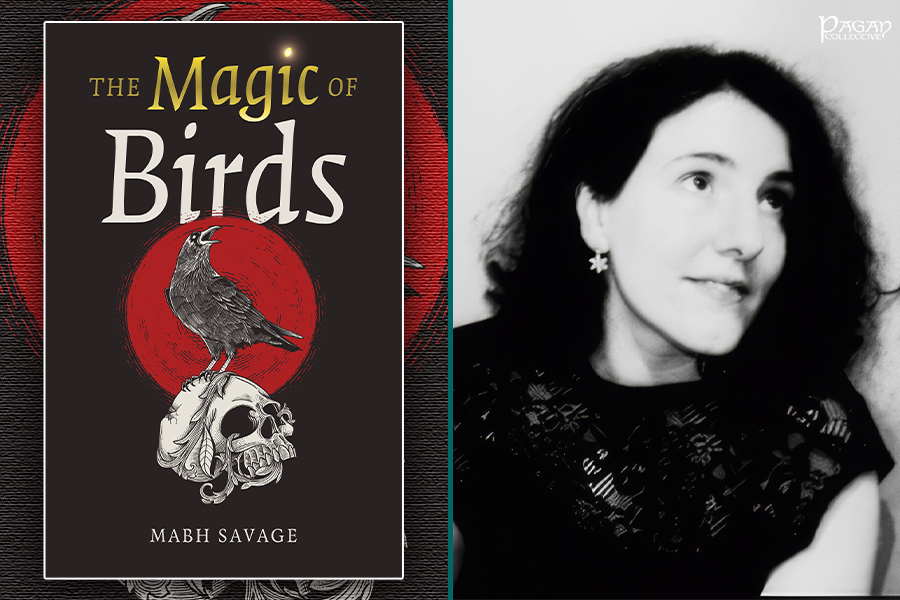 The Magic of Birds by Mabh Savage