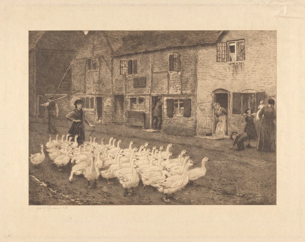 Feathered Divine: The Lore and Legends of Geese by Brett&nbsp;Hollyhead