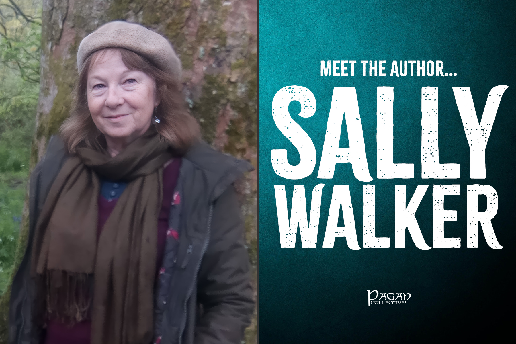 Sally Walker | Meet the Author