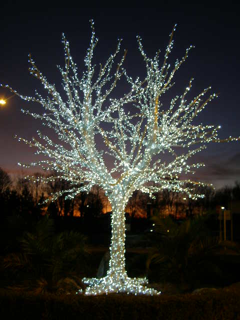 The Prayers of Winter by Geraldine Moorkens&nbsp;Byrne