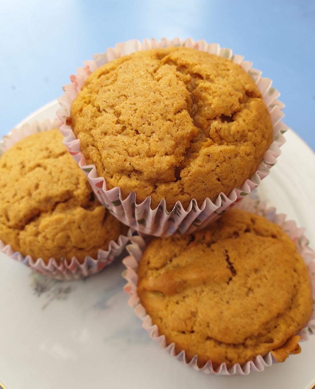 Spiced Muffins by Rachel&nbsp;Patterson