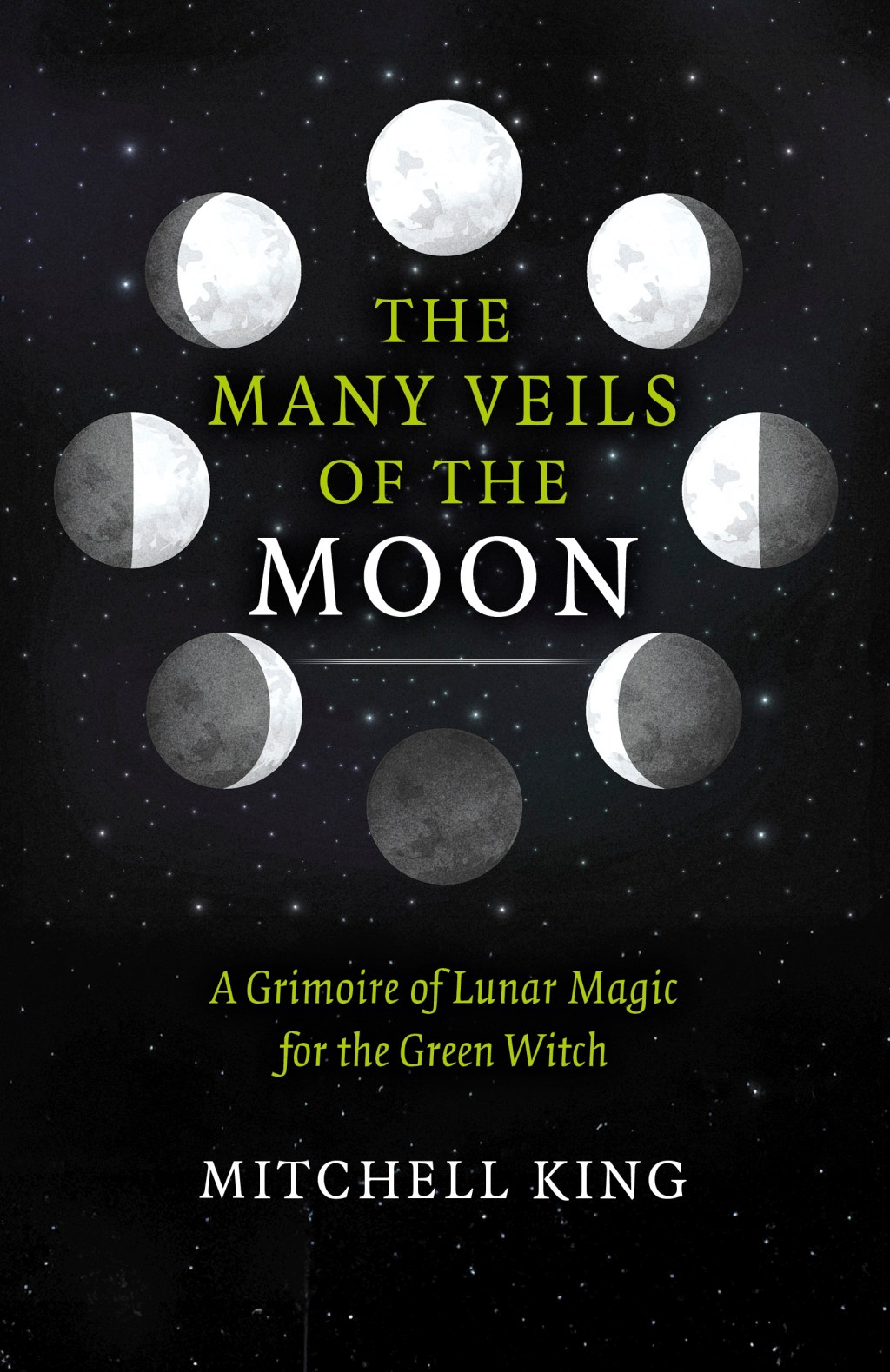 The Many Veils of the Moon by Mitchell King