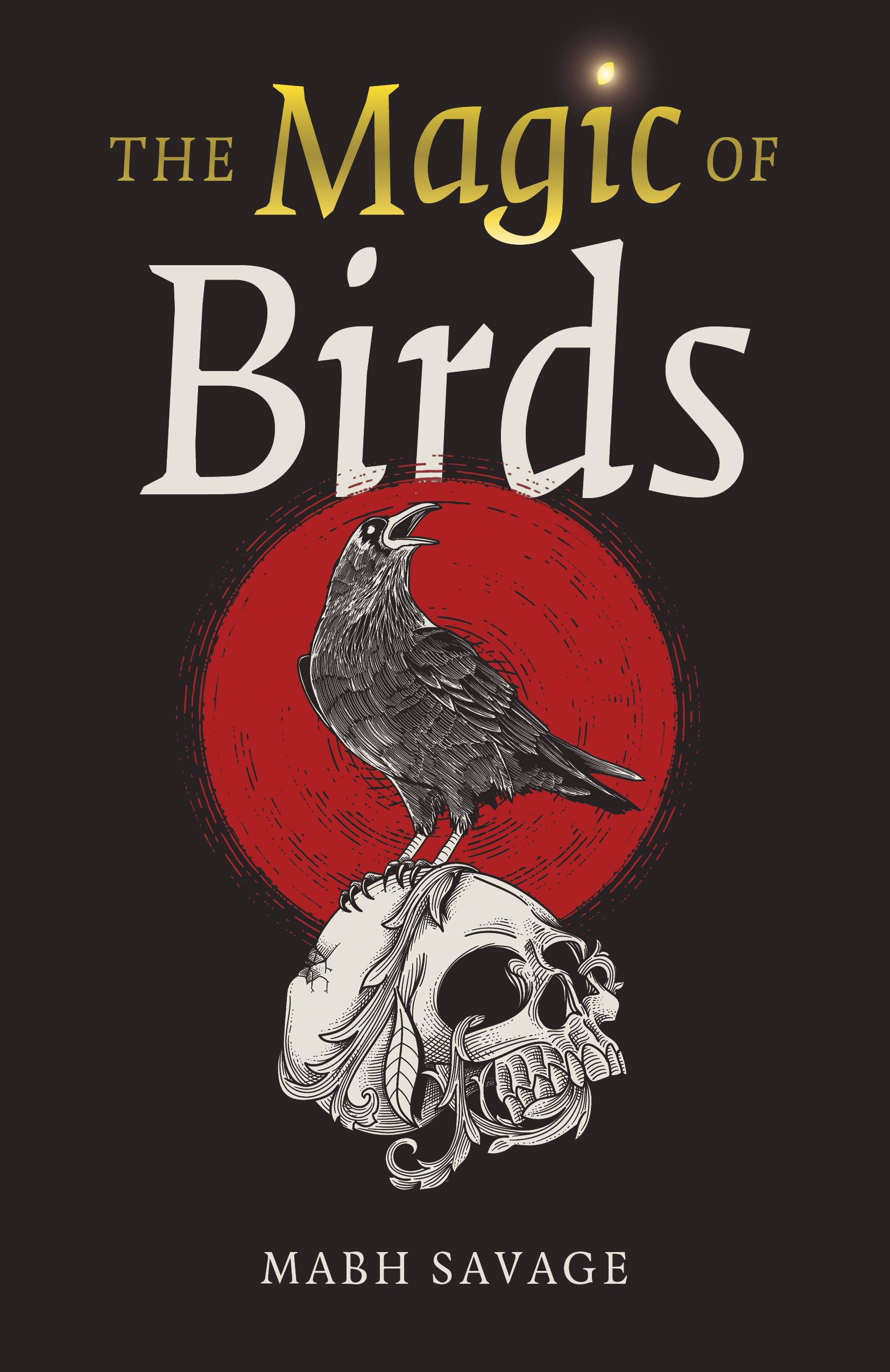 Review: The Magic of Birds by Mabh Savage