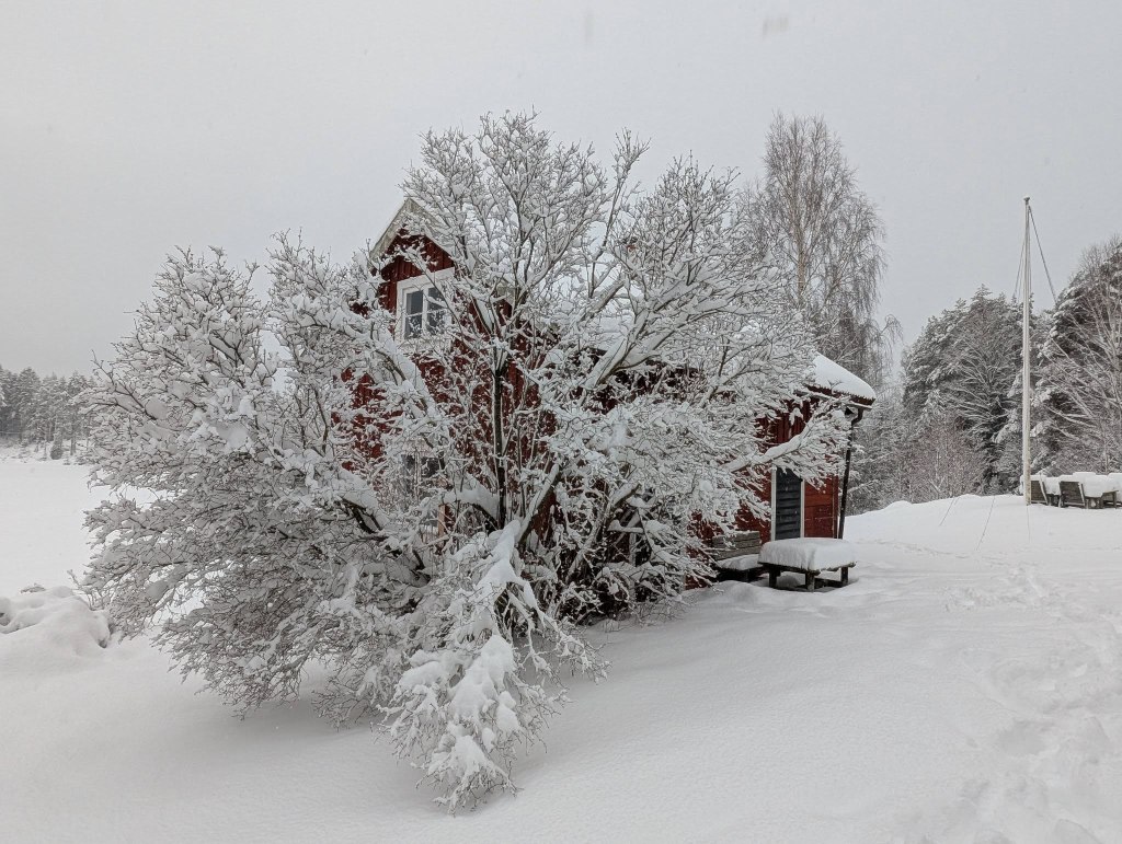 A Scandinavian take on Imbolc and the Wheel of the Year by Imelda&nbsp;Almqvist