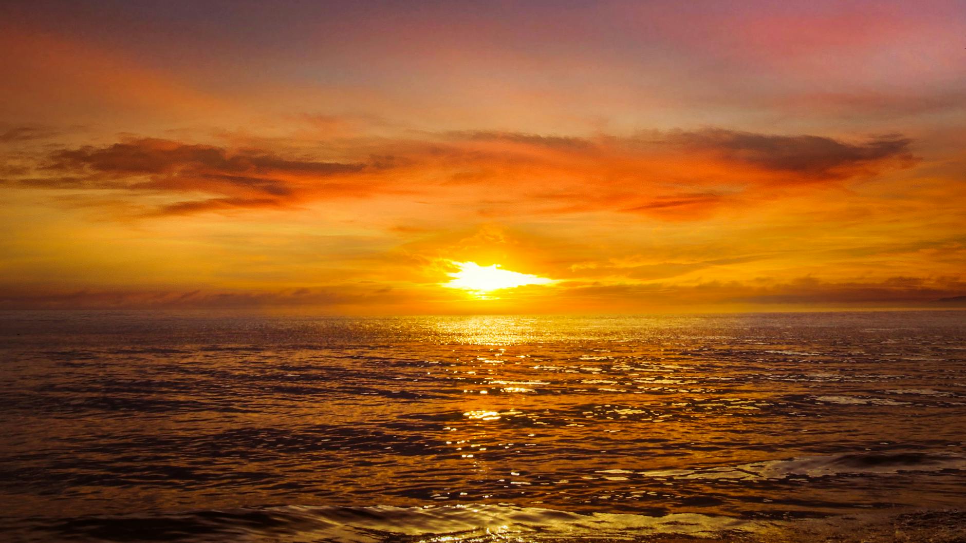 From Cold Betrayal to Sacred Fire: Shifting Anger into Purpose This Midsummer by Kim Gardner