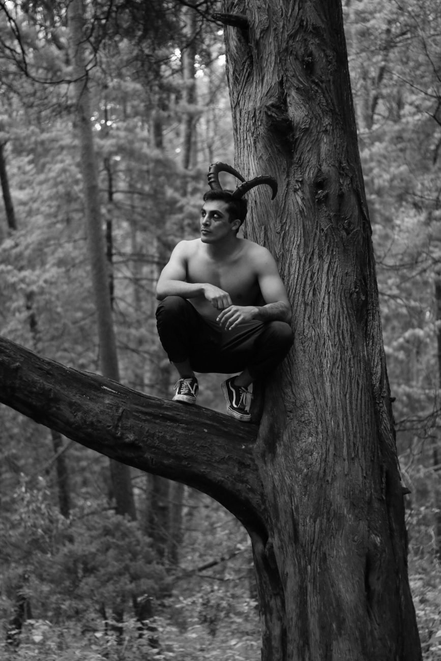 What Do We Really Know About Herne the Hunter? by Andrew Anderson